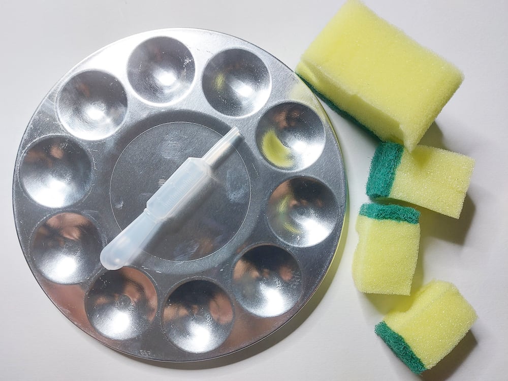 Dye application tools Paint tray, dropper, sponges.